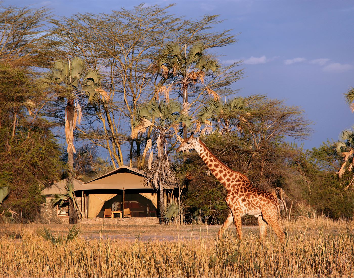 Chem Chem Lodge thumbnail 4