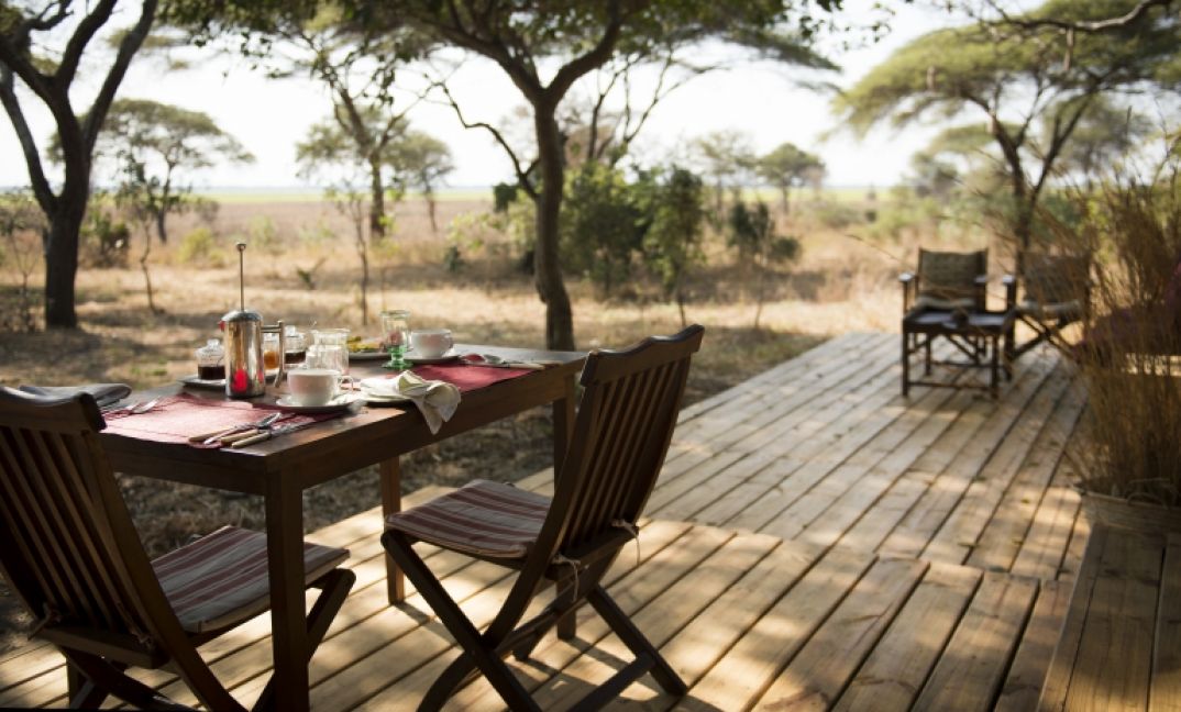 <p>Enjoy dining in the wild!</p>