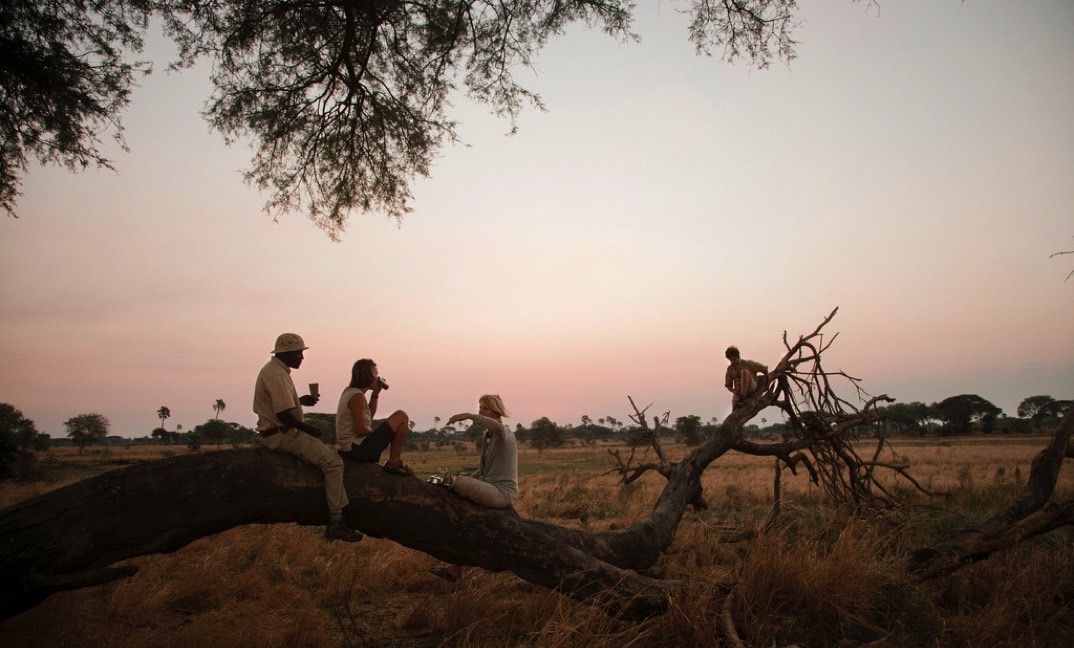 Chada Katavi Fly Camp thumbnail 3