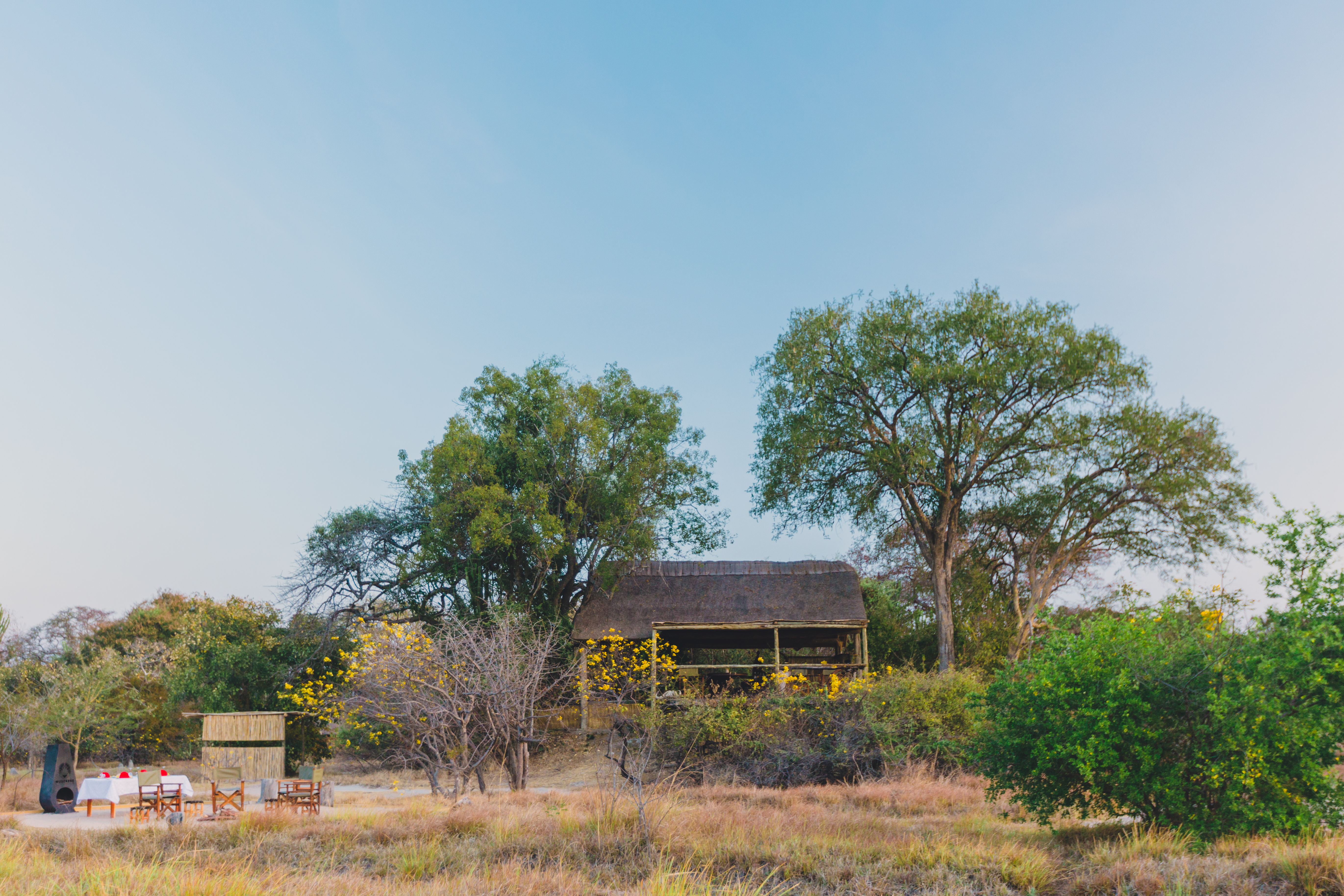 Ntemwa-Busanga Camp