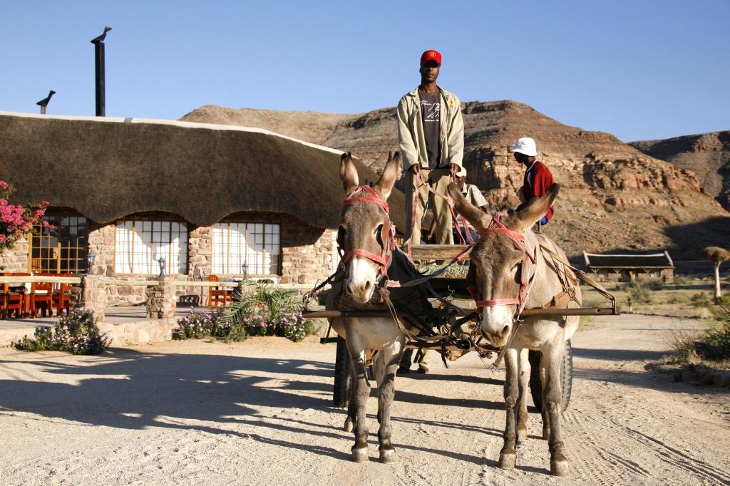 <p>Environmentally friendly!</p>