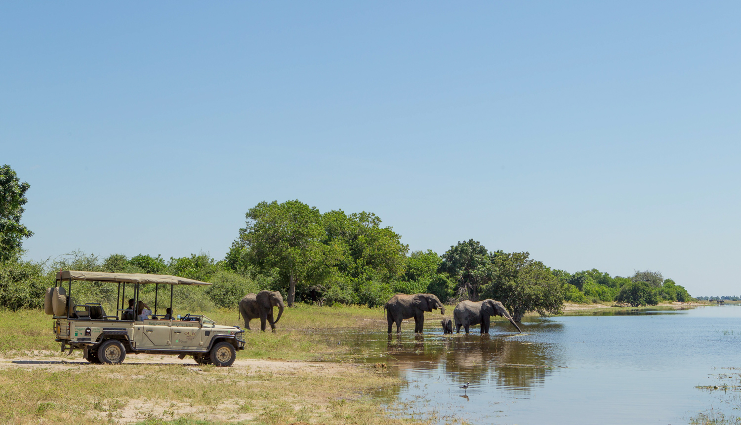 Chobe Game Lodge thumbnail 8