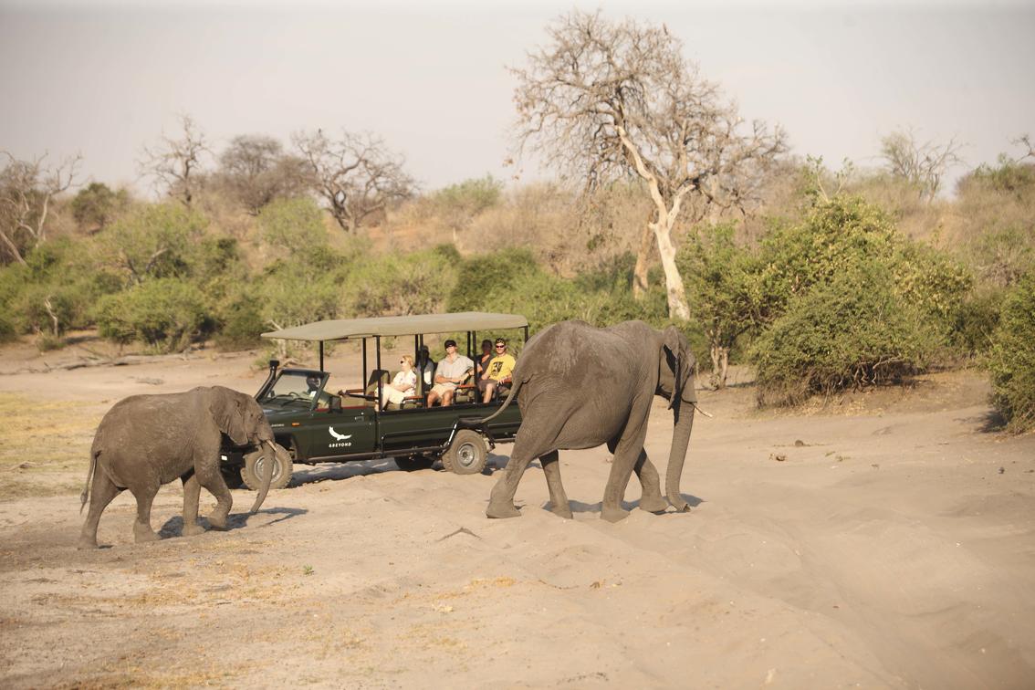 Chobe Under Canvas thumbnail 5