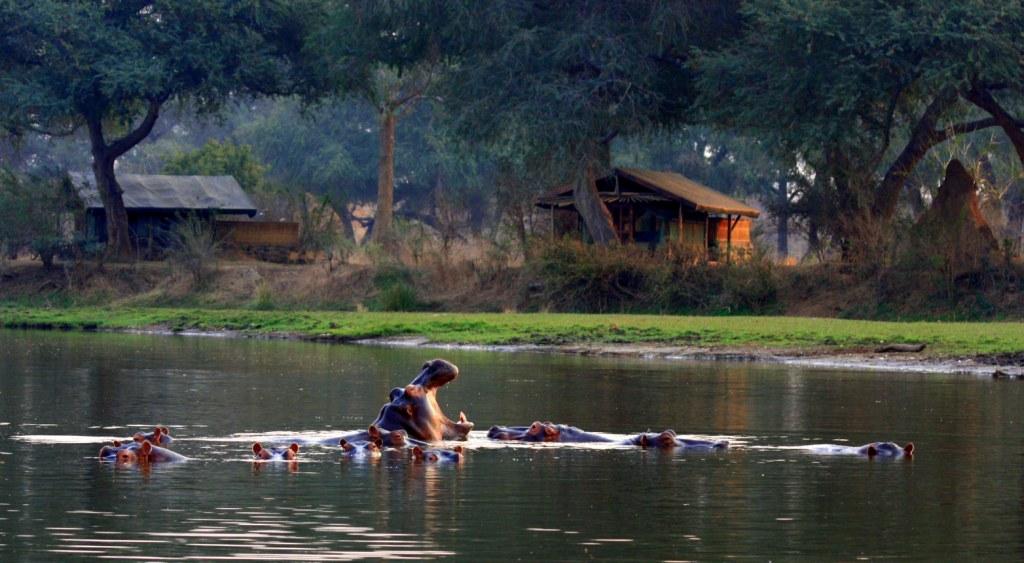 Time + Tide Chongwe Camp