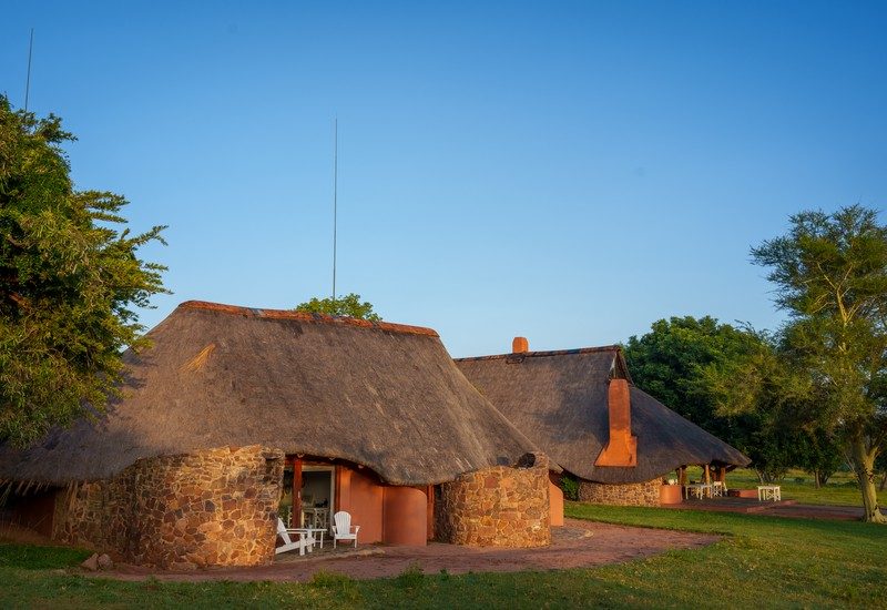 Zebras Crossing thumbnail 2