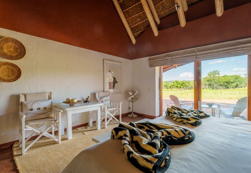 Zebras Crossing thumbnail 5