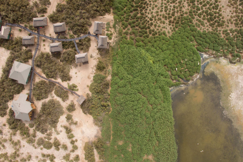 The Stiltz thumbnail 5