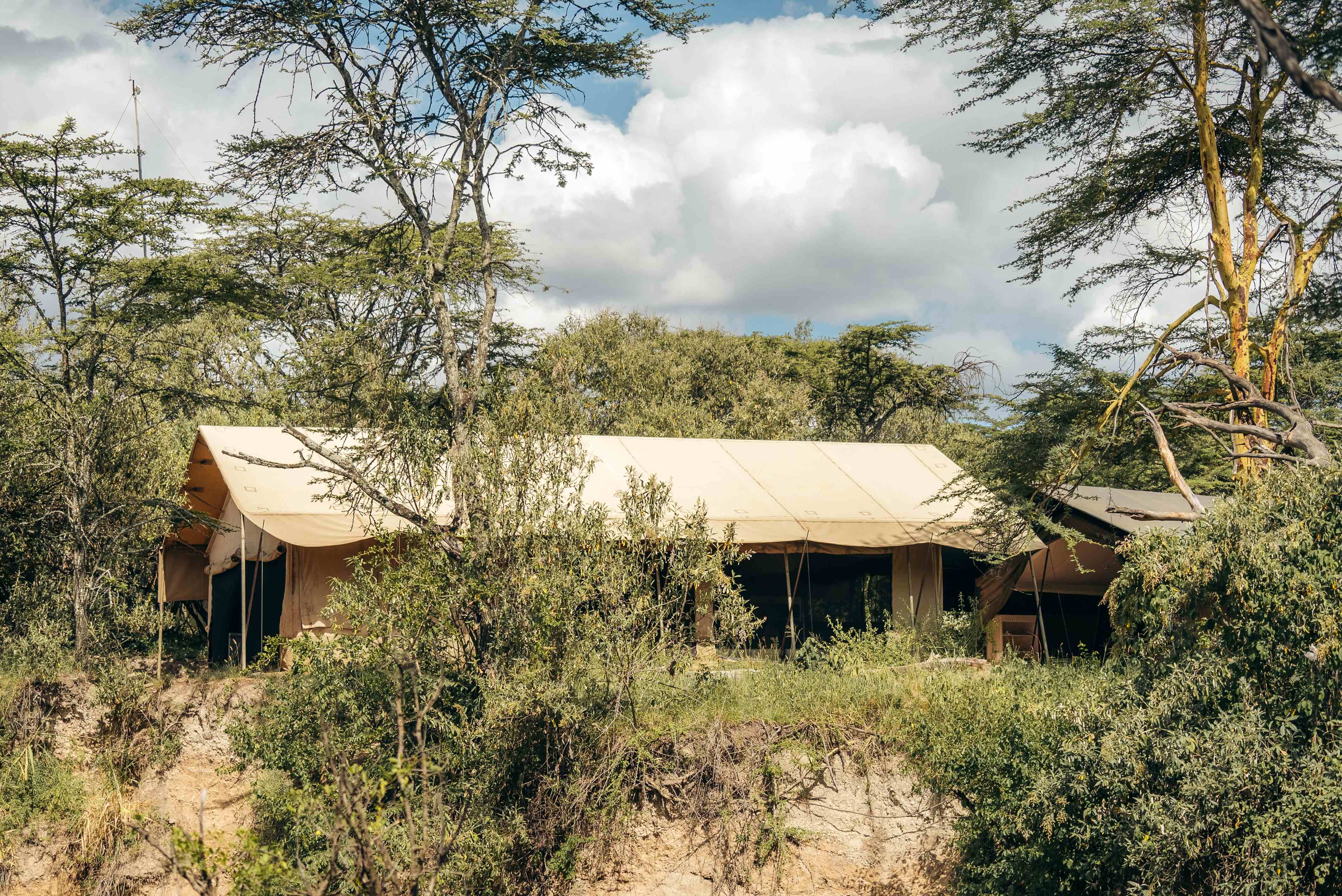 Porini Giraffe Camp thumbnail 3