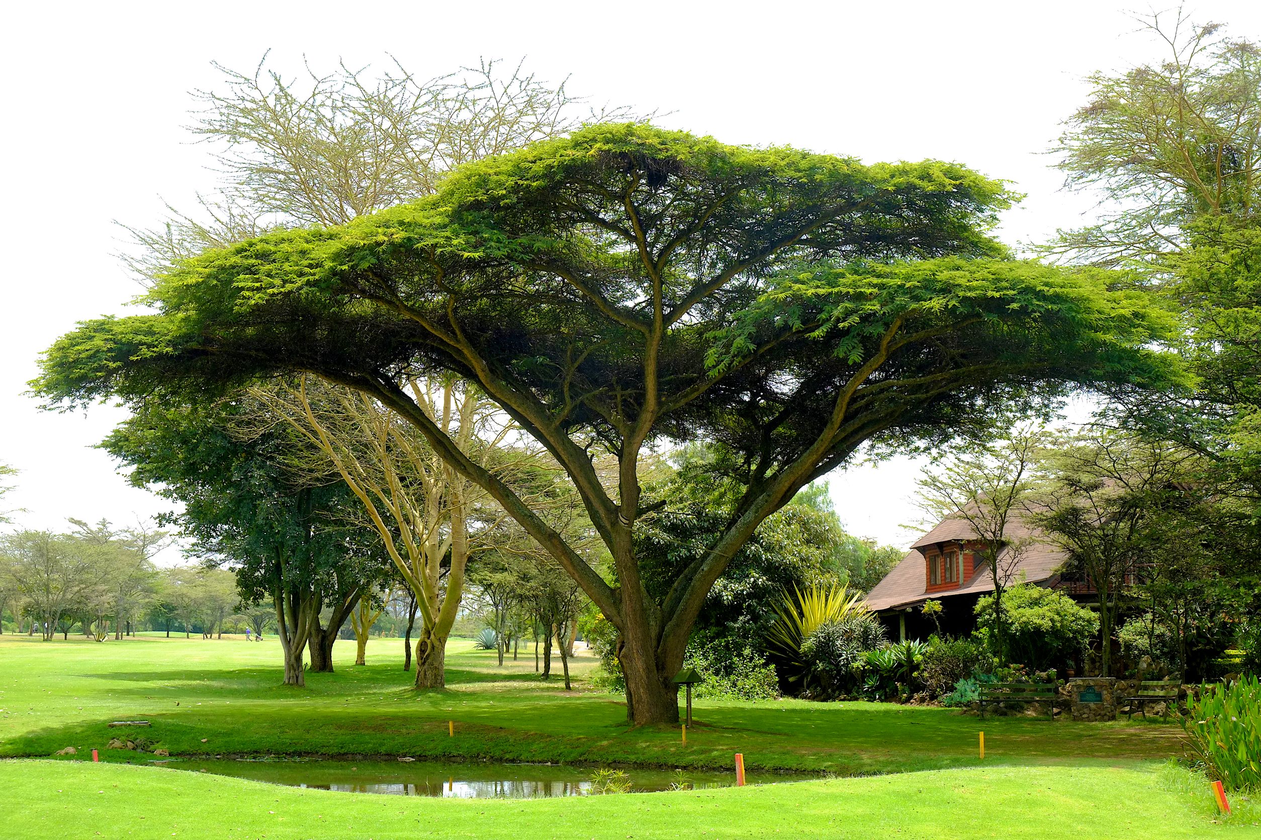 Great Rift Valley Lodge & Golf Resort
