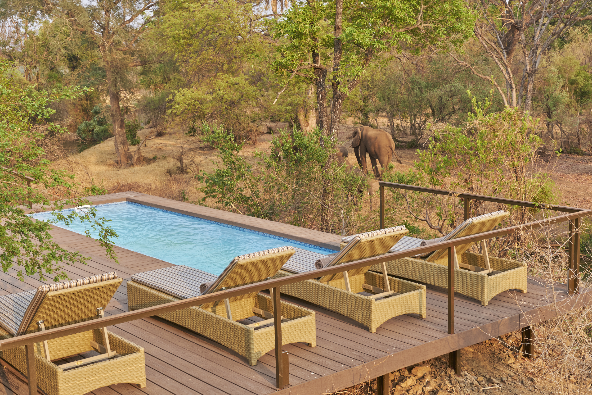 <p>The Wallow Lodge pool is relaxing offering great views.</p>