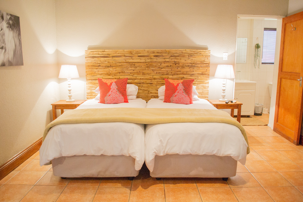 The Safari Club thumbnail 4