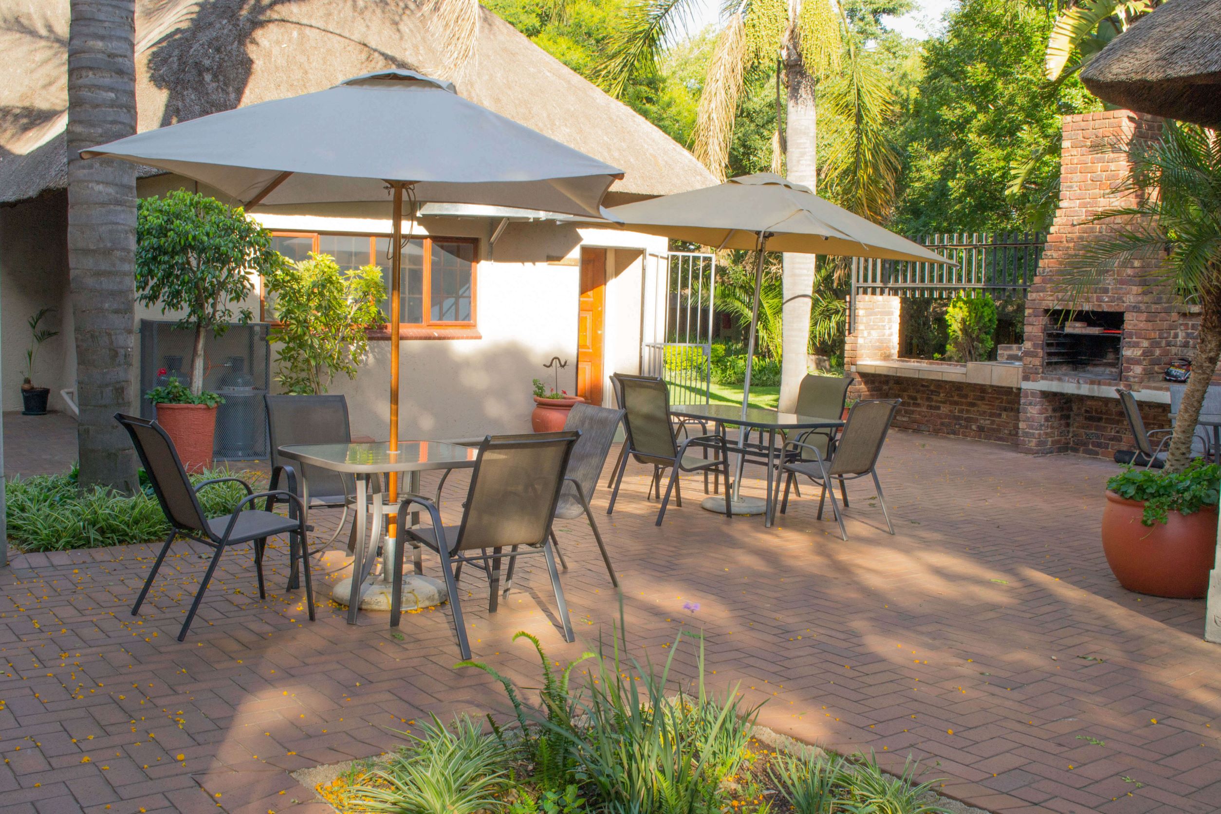 The Safari Club thumbnail 3