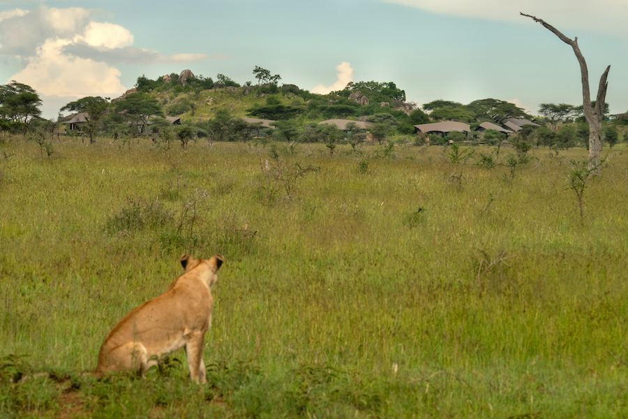 Lemala Nanyukie Lodge thumbnail 11