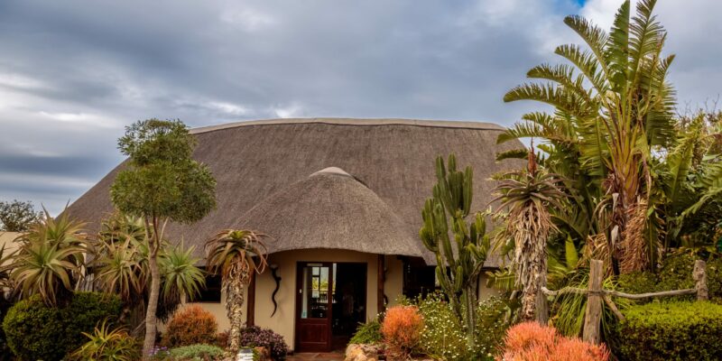 Bellevue Forest Reserve - Elephant's Lodge thumbnail 3