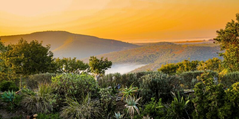 Bellevue Forest Reserve - Elephant's Lodge thumbnail 5