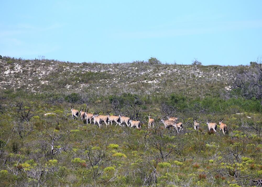 Lekkerwater Beach Lodge thumbnail 23