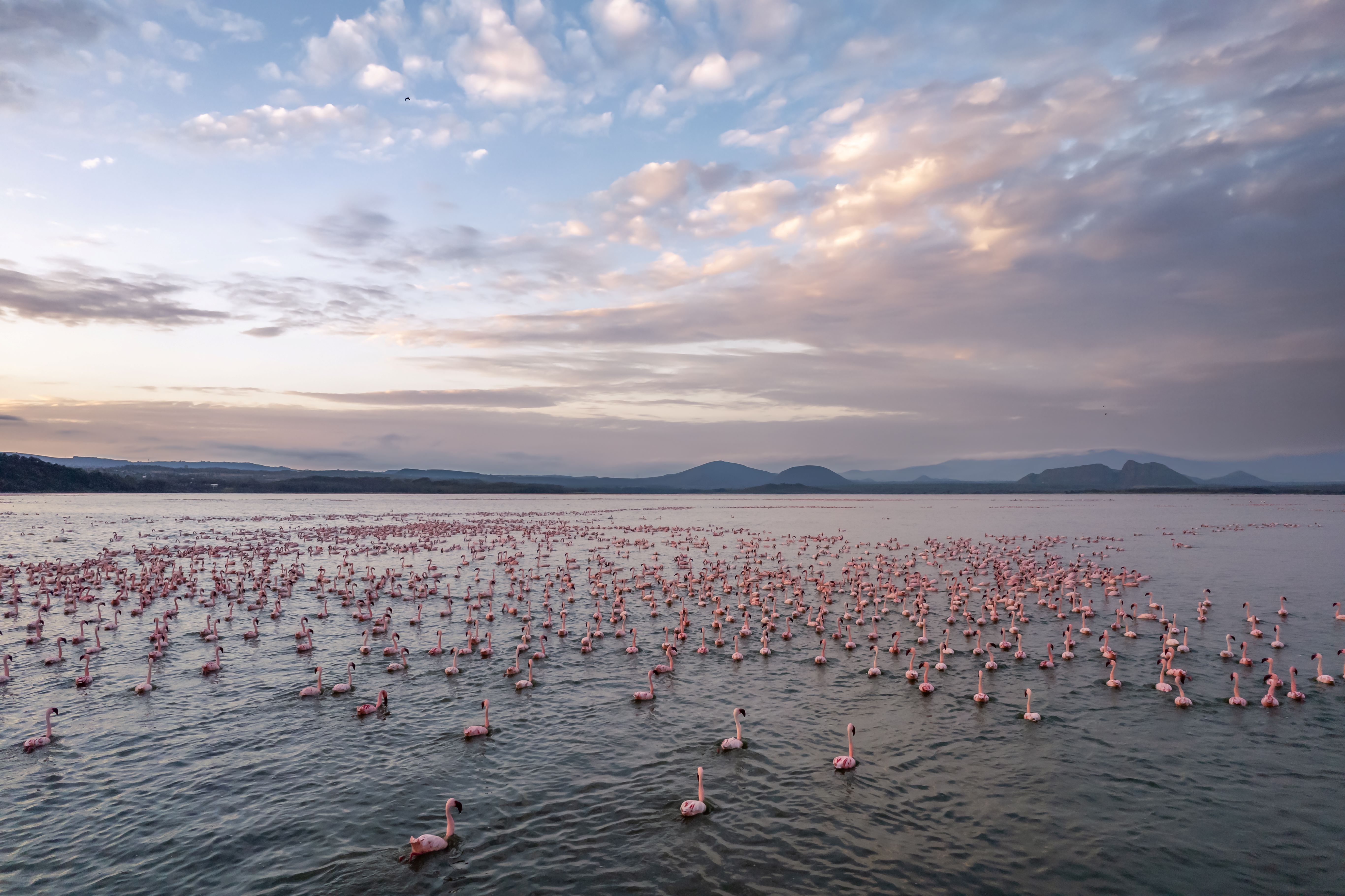 Sentrim Elementeita Lodge