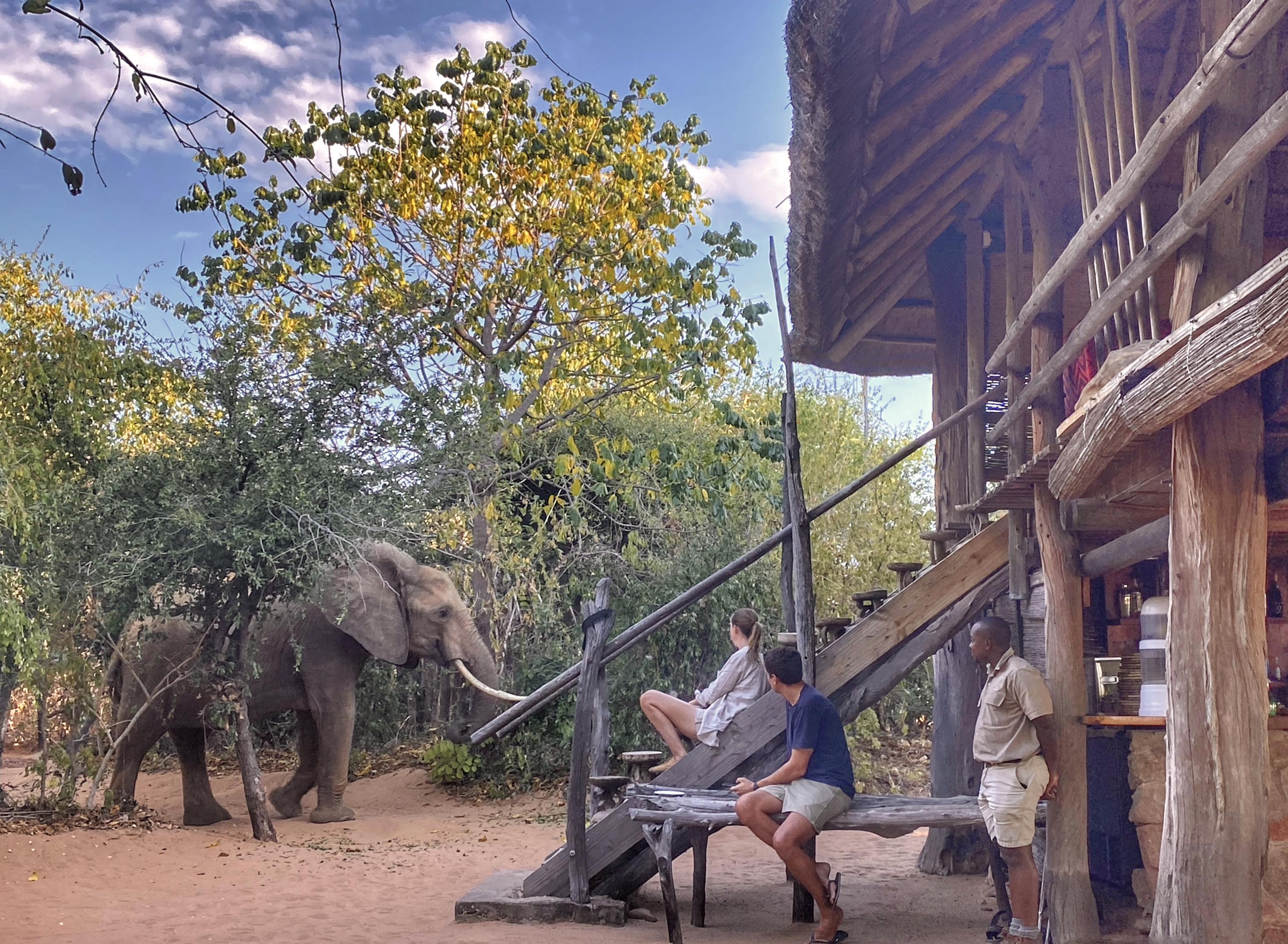Rhino Safari Camp