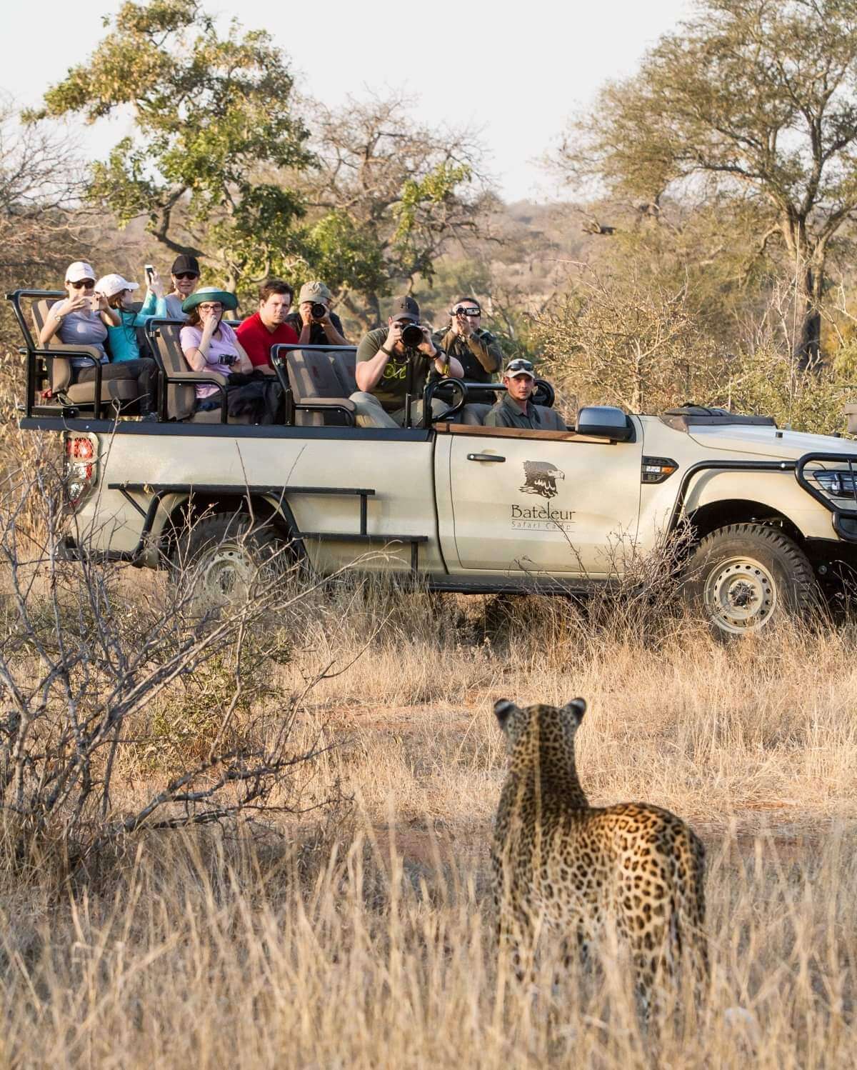 Bateleur Safari Camp thumbnail 8