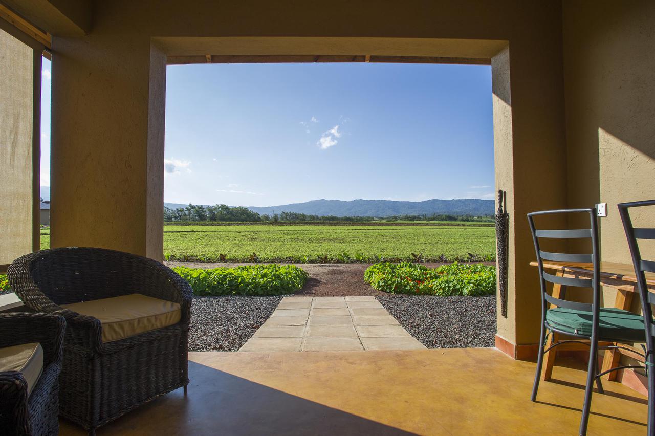 Ngorongoro Farm House thumbnail 4