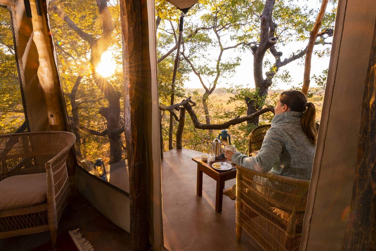 Fig Tree Bush Camp thumbnail 5