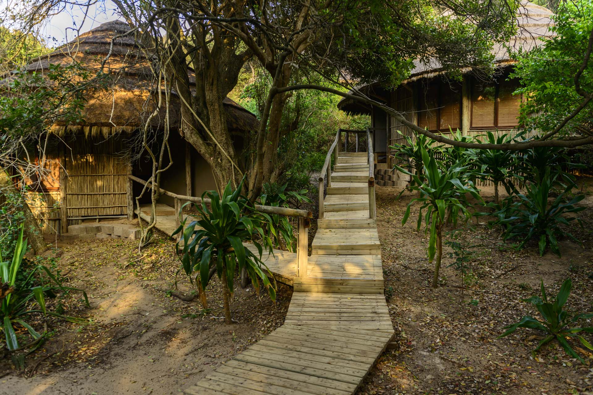 Thonga Beach Lodge thumbnail 2