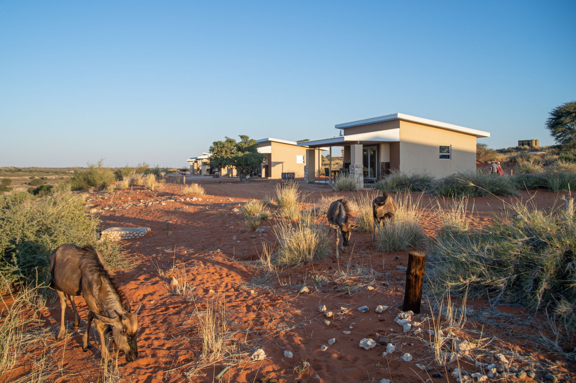 Kgalagadi Lifestyle  Lodge thumbnail 2