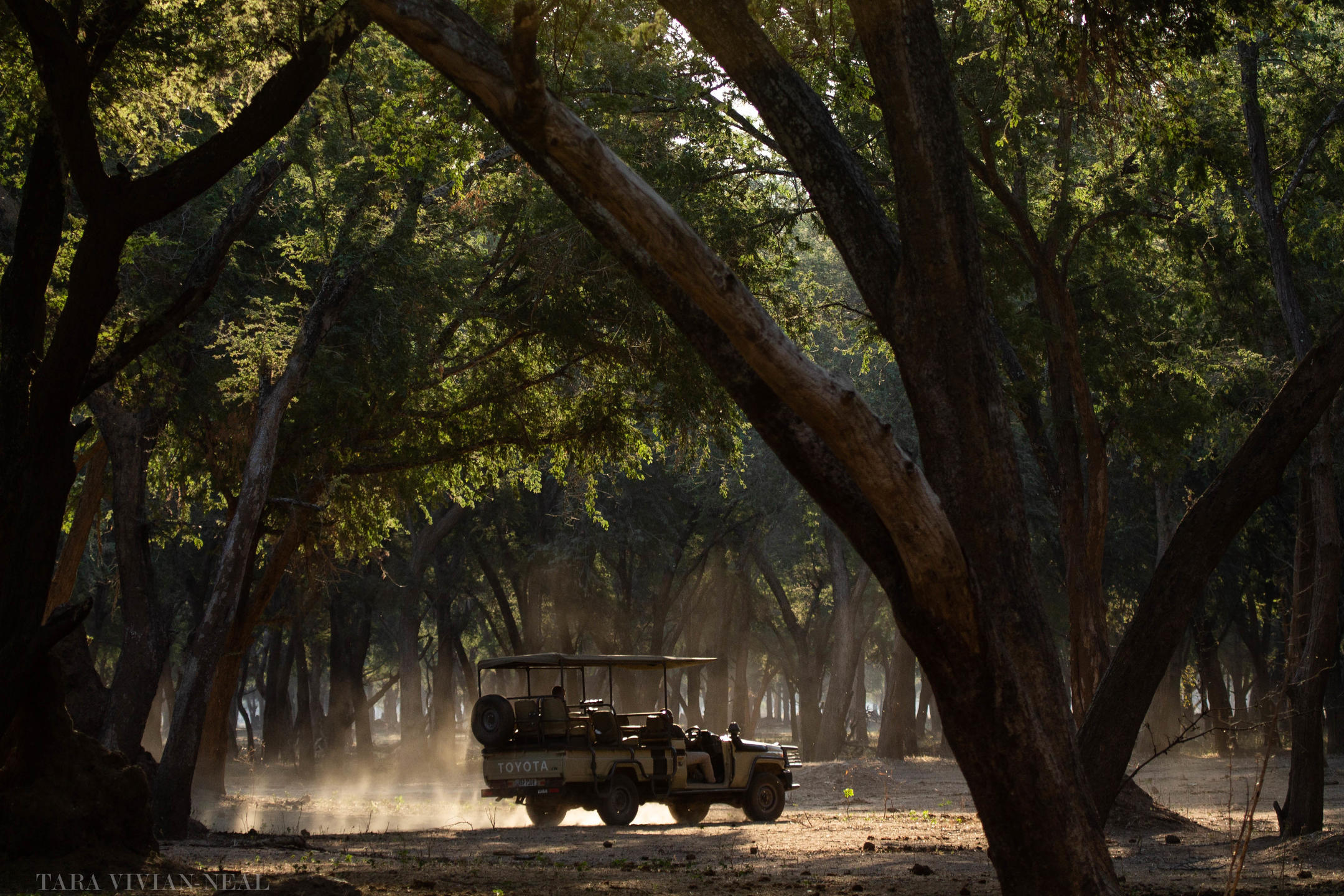 Amanzi Camp