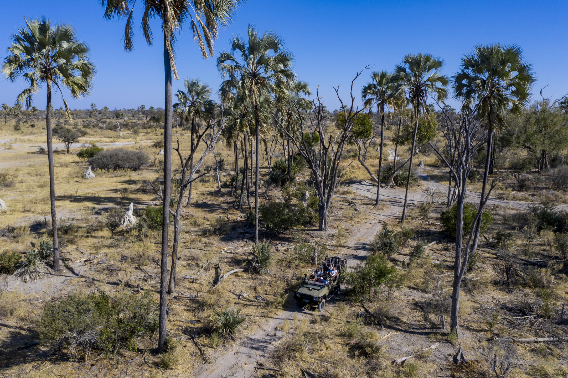 Gomoti Plains