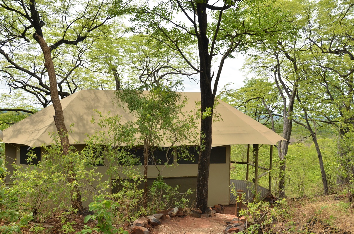 Ghoha Hills Savuti Lodge thumbnail 5