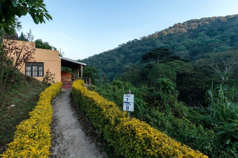 Gorilla Valley Lodge thumbnail 1