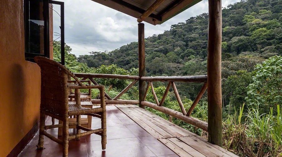 Gorilla Valley Lodge thumbnail 3