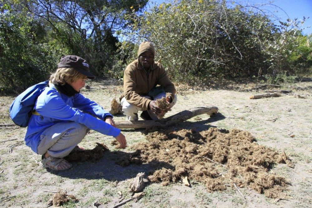 Guma Lagoon Camp thumbnail 4