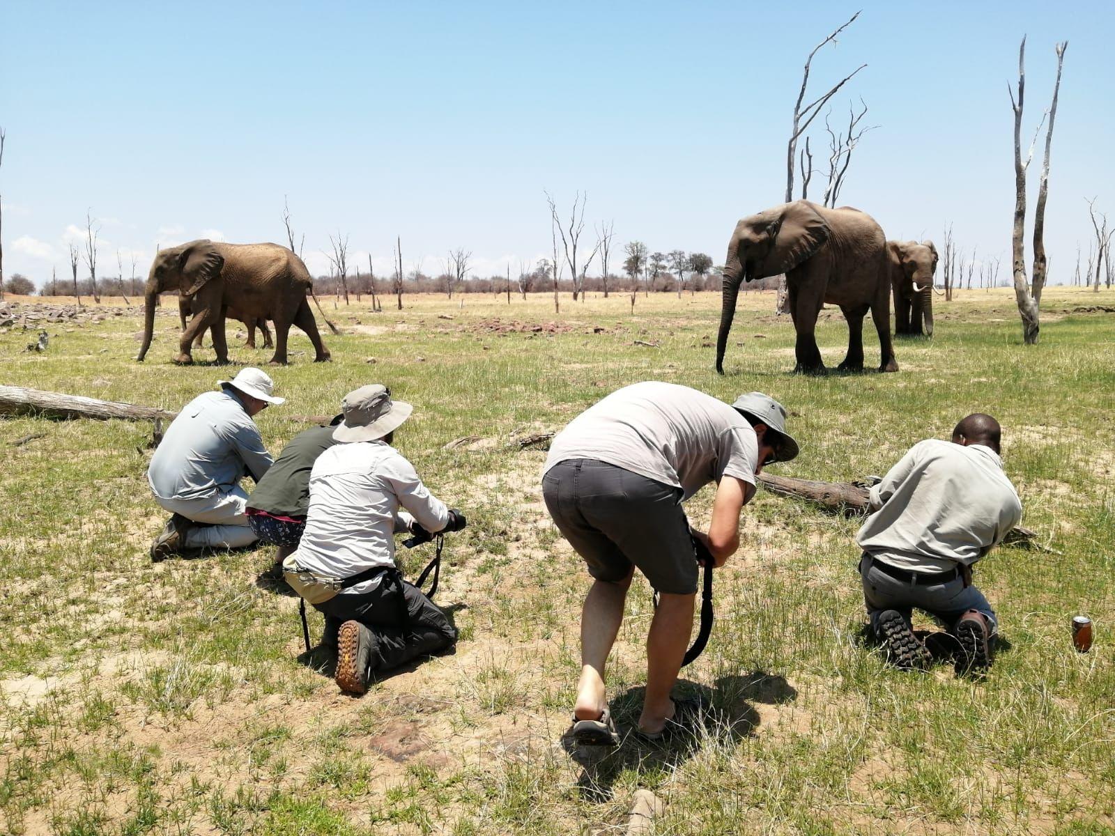 Rhino Safari Camp