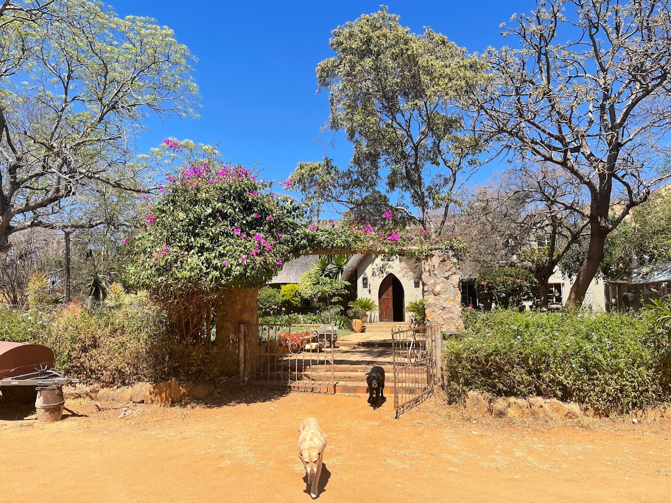 Hermit's Peak Guest Lodge