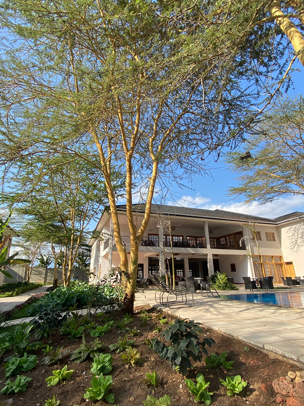 Kahawa House thumbnail 5