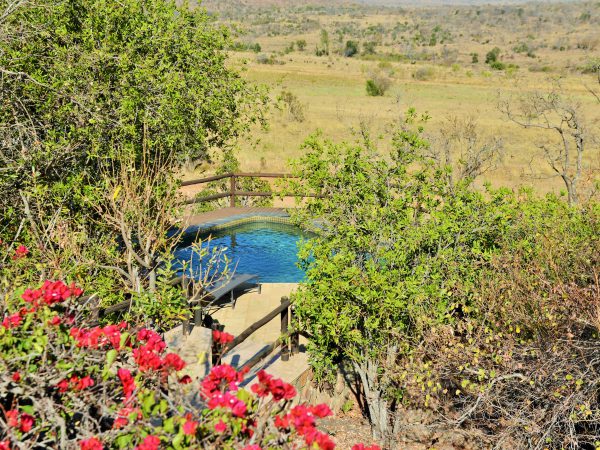 Kololo Game Reserve thumbnail 6