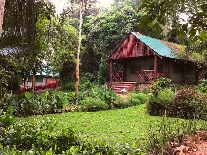 Kibale Forest Camp thumbnail 2