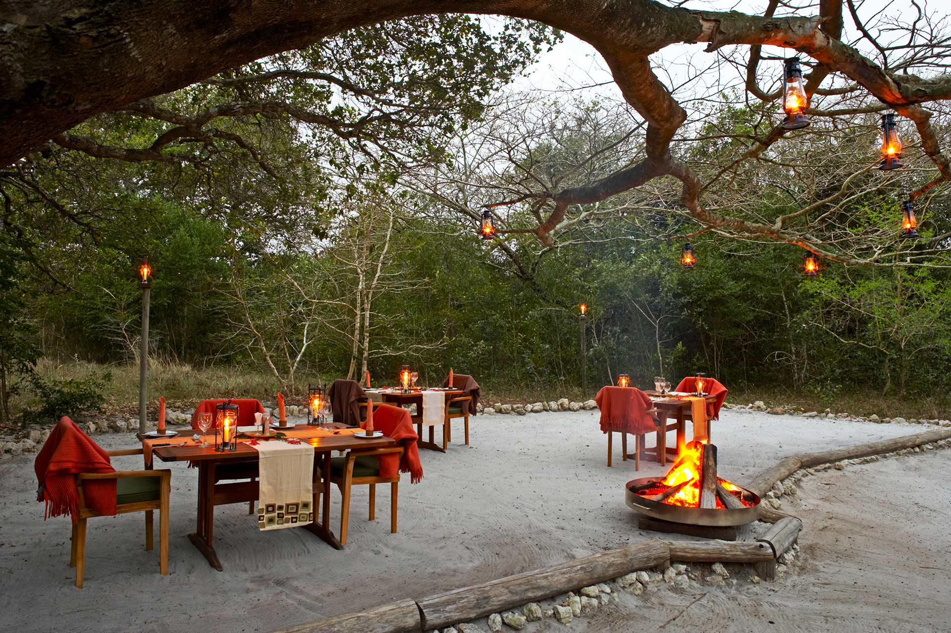 Kosi Forest Lodge thumbnail 5