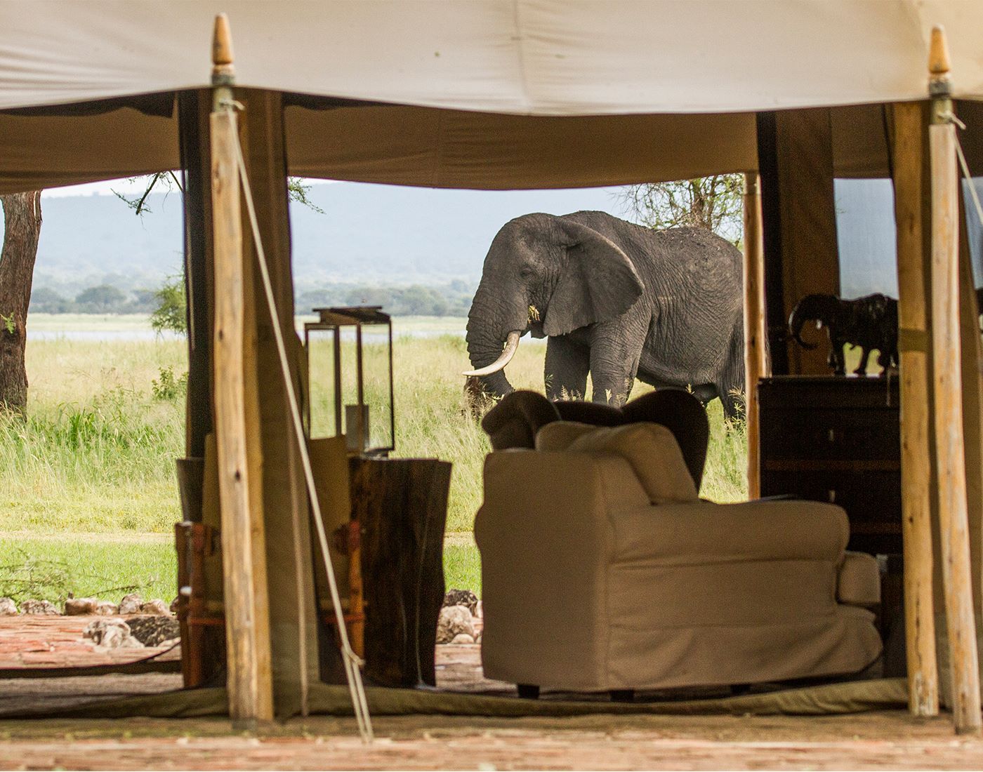 Little Chem Chem thumbnail 5