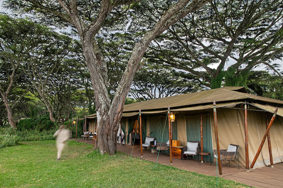 Lemala Ngorongoro Tented Camp thumbnail 8