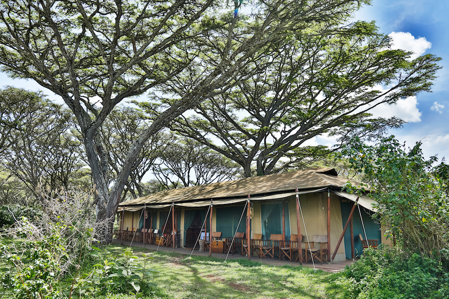 Lemala Ngorongoro Tented Camp thumbnail 2
