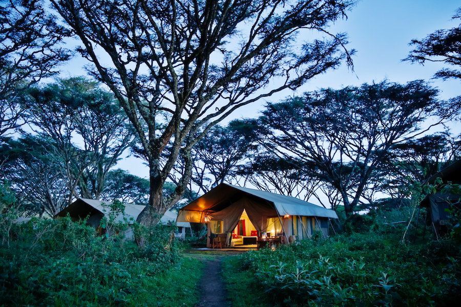 Lemala Ngorongoro Tented Camp thumbnail 3