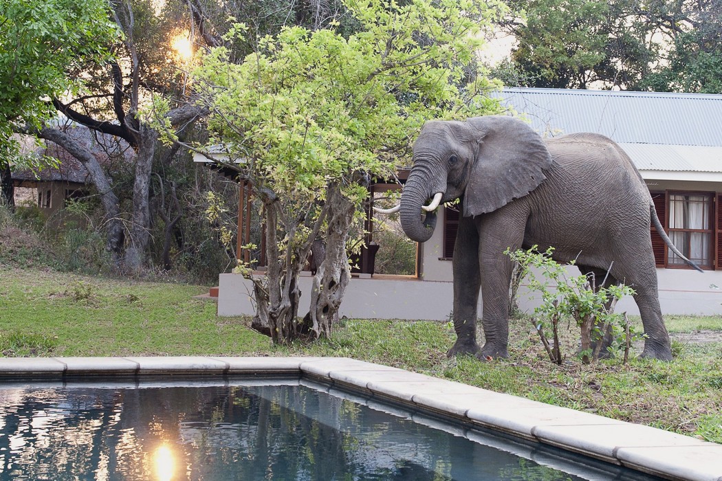 Baines' River Camp thumbnail 6