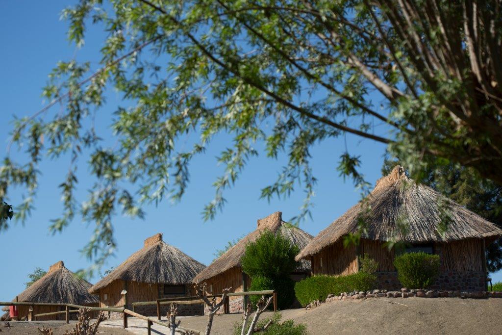 Felix Unite Provenance Cabanas