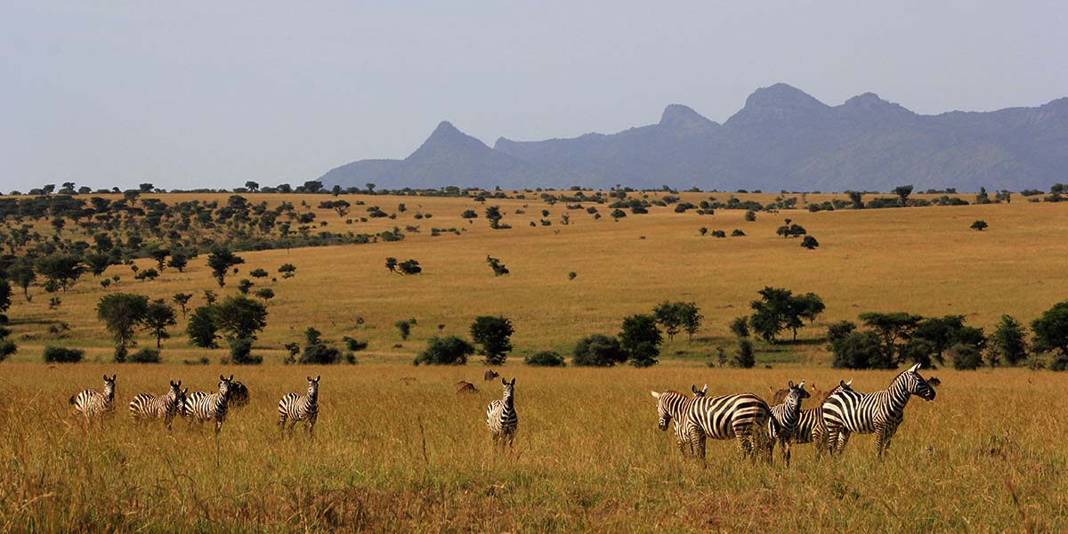 Kimbla Mantana Lake Mburo Camp