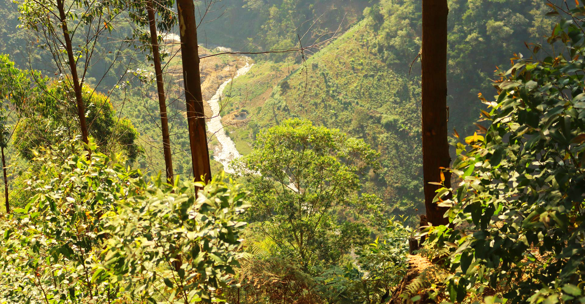 Ichumbi Gorilla Lodge thumbnail 6