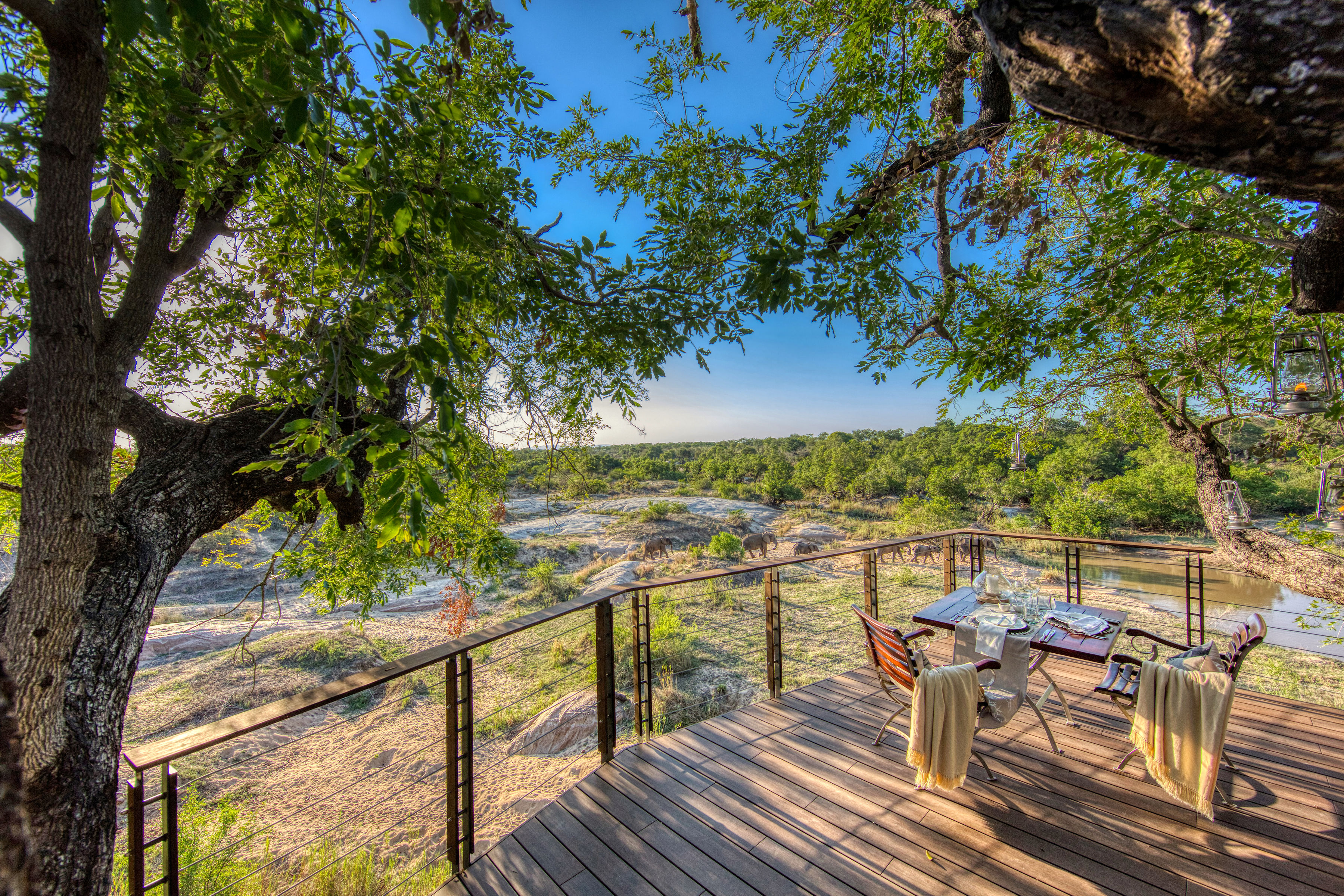 Dulini Leadwood thumbnail 16