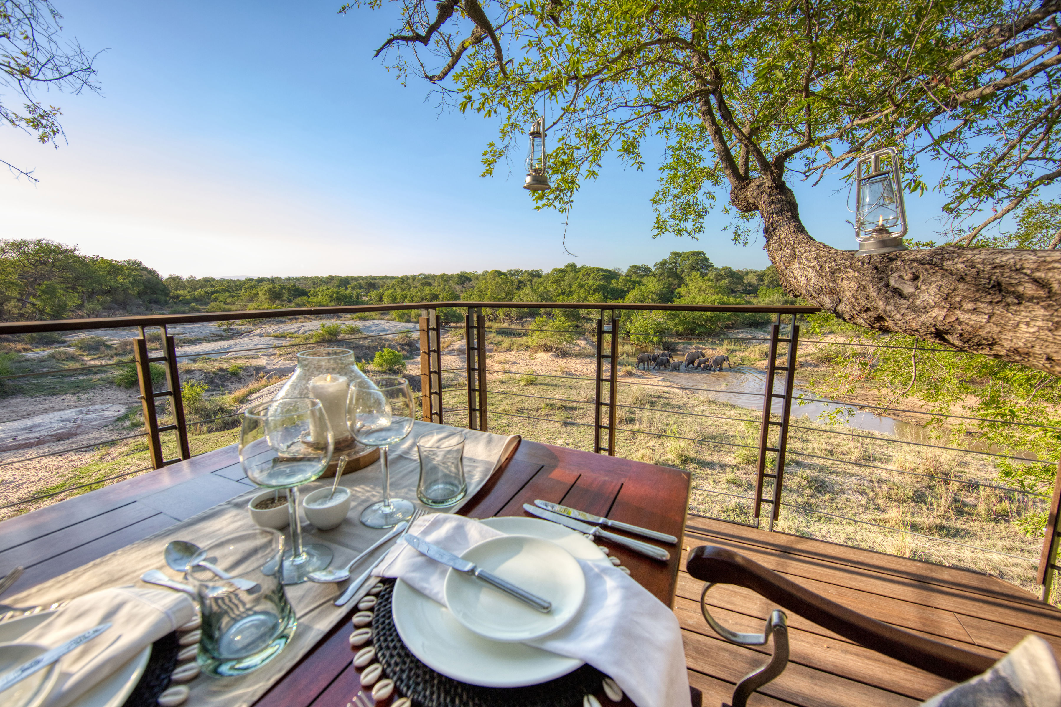 Dulini Leadwood thumbnail 12