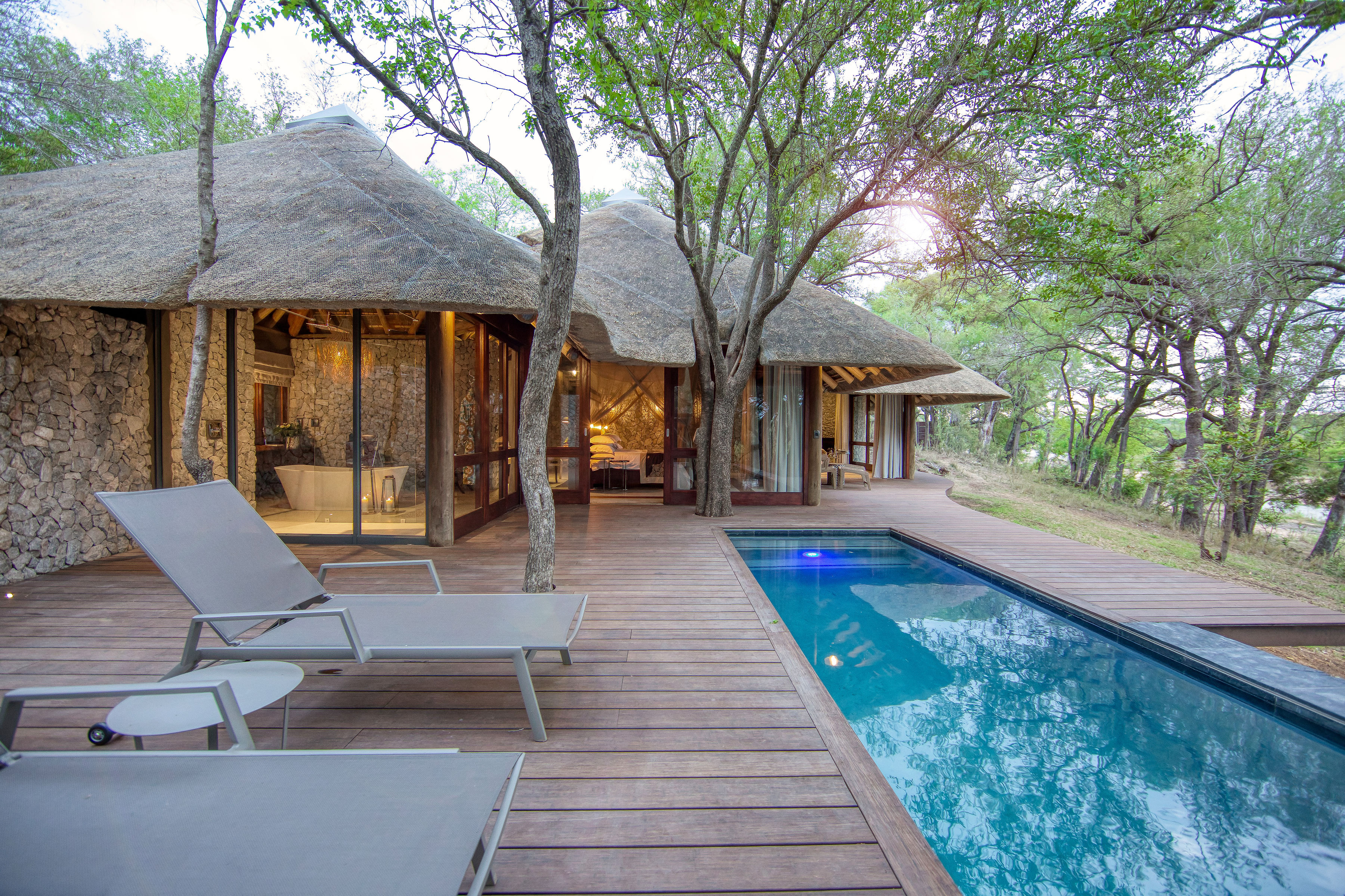 Dulini Leadwood thumbnail 2